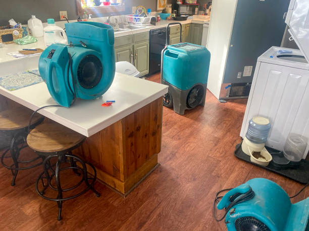 Best Basement water damage restoration  in Evanston, WY