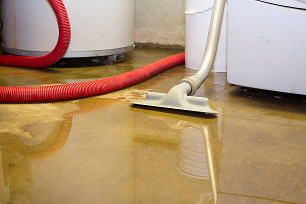 Best Water damage restoration near me  in Evanston, WY