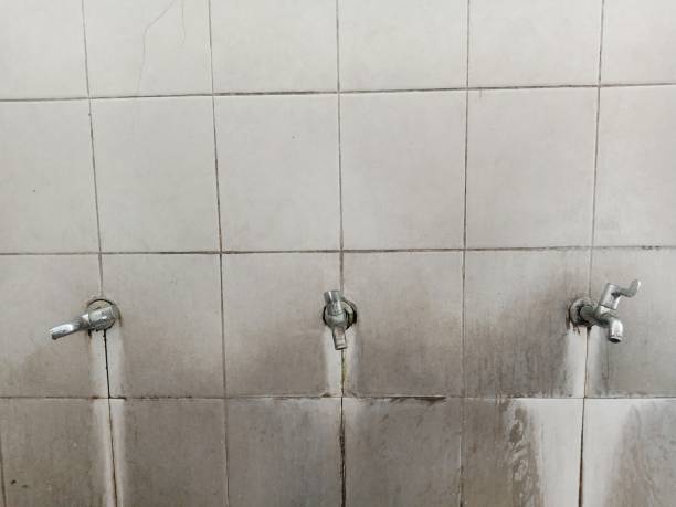 Best Water damage contractors near me  in Evanston, WY