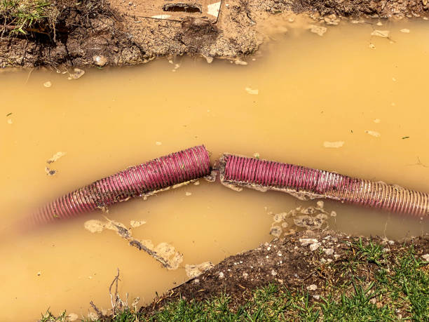 Best Basement water damage restoration  in Evanston, WY