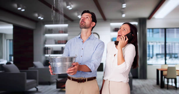 Best Flooded house restoration  in Evanston, WY